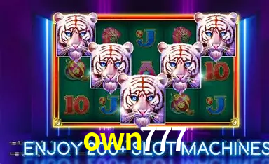 own777: A Experiência de Casino com Jogos de Mesa ao Vivo